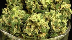 Arizona Medical Marijuana Patients Guide